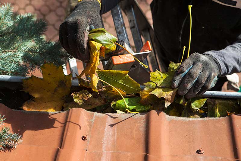 gutter cleaning